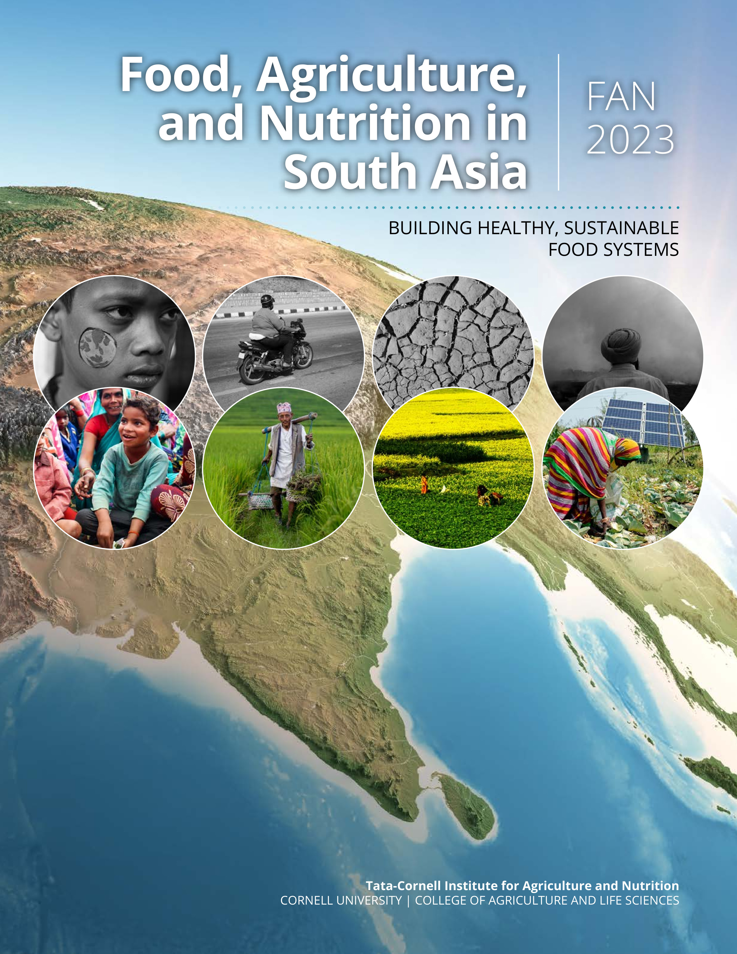 Food, Agriculture, and Nutrition in South Asia